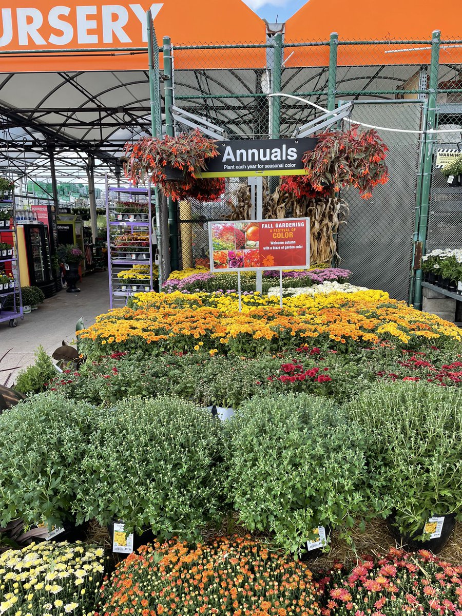 Amanda Fore tweet media