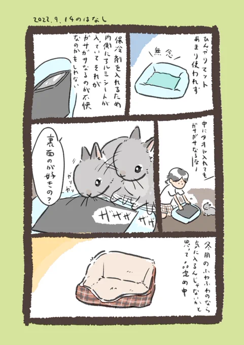 今日のrabbit…と昨日のrabbit…
#うさぎのいる生活 