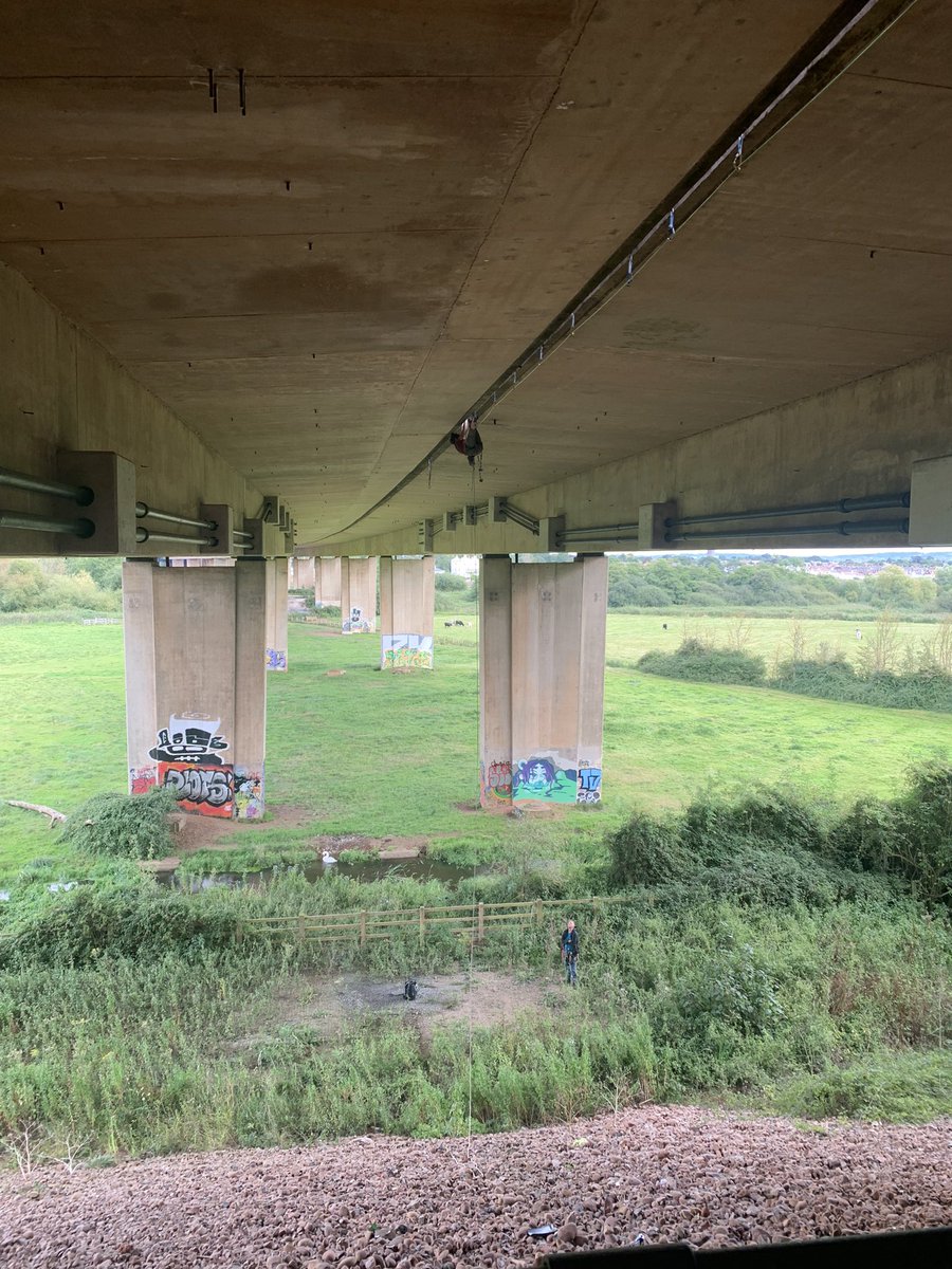 Tom Randall tweet media