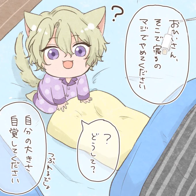 一緒に寝たい🐈 