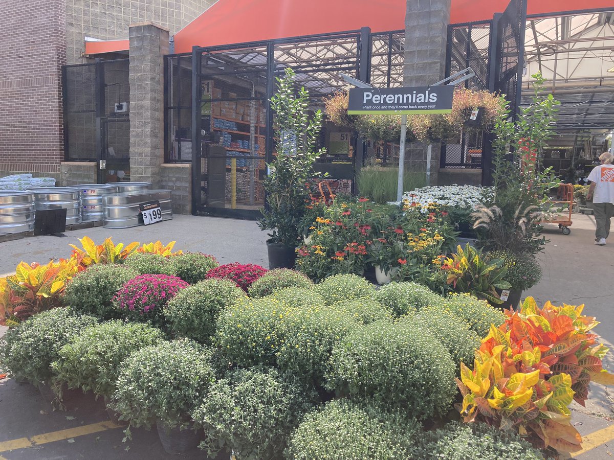 Amanda Fore tweet media