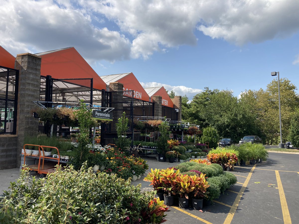 Amanda Fore (@fore_amanda) on Twitter photo HD 2313 looking fresh and full! Awesome job team Bell SA! <a href="/BellNursery/">Bell Nursery</a> <a href="/THDToddMurdoch/">Gavin Todd Murdoch</a> <a href="/JoeAutry/">Landshark Joe</a> <a href="/rmathis333_rick/">Rick Mathis</a> <a href="/brianfrombell/">Brian Harrison</a> HD 2313 looking fresh and full! Awesome job team Bell SA! <a href="/BellNursery/">Bell Nursery</a> <a href="/THDToddMurdoch/">Gavin Todd Murdoch</a> <a href="/JoeAutry/">Landshark Joe</a> <a href="/rmathis333_rick/">Rick Mathis</a> <a href="/brianfrombell/">Brian Harrison</a>