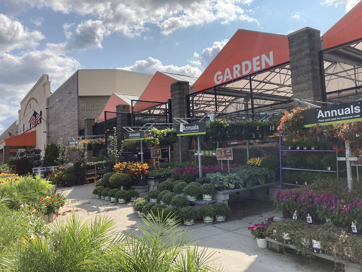 Amanda Fore tweet media