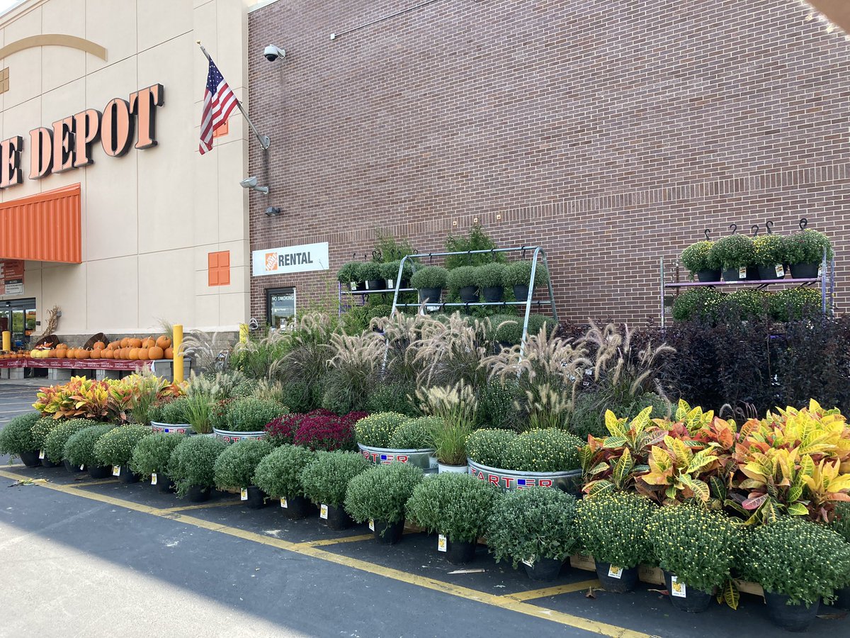 Amanda Fore tweet media