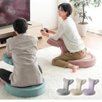 テレビゲームにもってこい!背筋の伸びるくすみカラーの座椅子♪