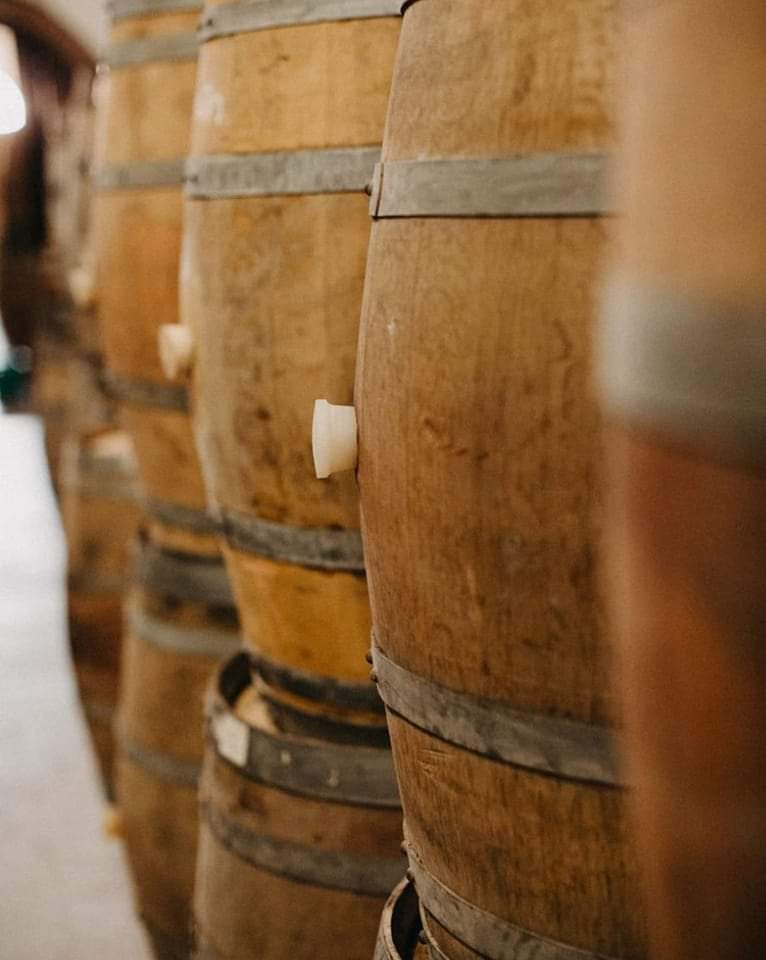 The Garajeest. tweet media