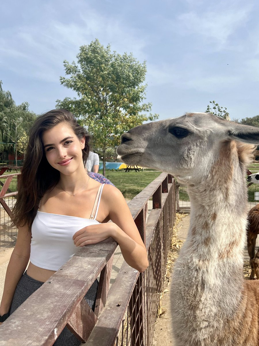 Alexandra Botez tweet media