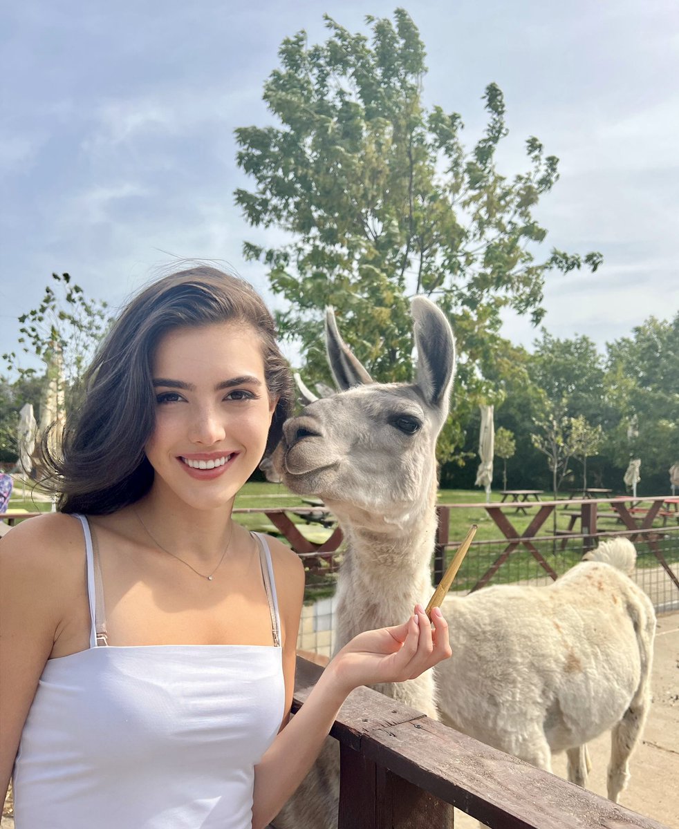 Alexandra Botez tweet media