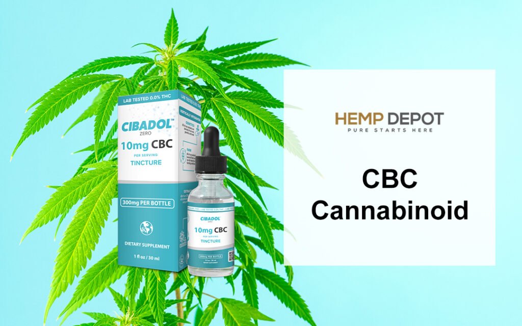 yellowcloudgirl's tweet photo. Must Know Benefits Of CBC Oil
At this moment in time, you’re probably familiar with cannabinoids – namely CBD and THC.
Visit at: https://t.co/psu3okIuHt
#cbcoil #cbd #cbc #hemp #cbdoil #cbgoil #cbn #delta #cbnoil #cbg #indianapolis #thc #thcv #chronicpain #healthymind #fit https://t.co/n0H8eQPNNY