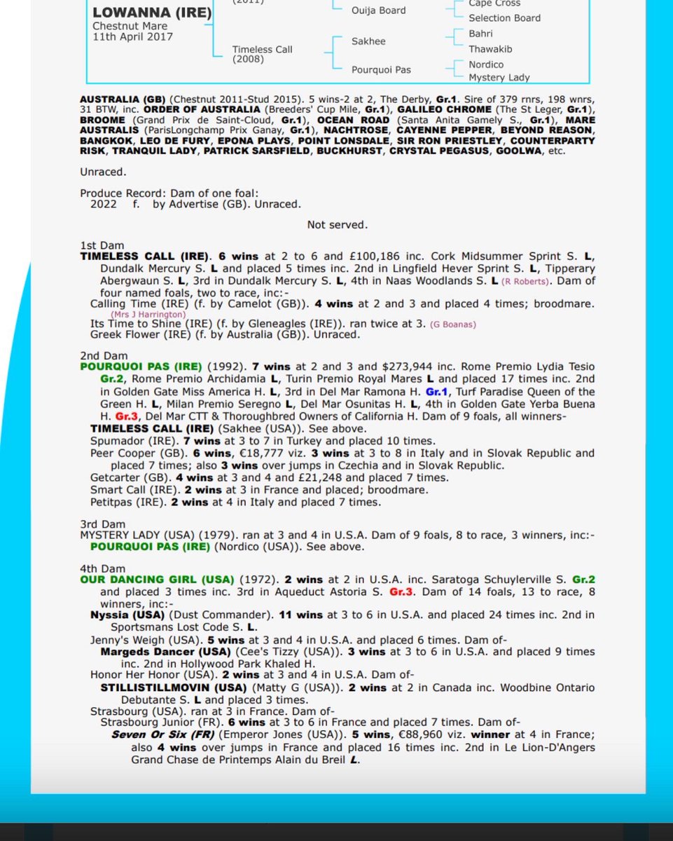 BeswickBrothers's tweet photo. Lowanna is a 5yr old Australia mare out of black type mare Timeless call. She’s being sold with a @GB_Bonus advertise filly at foot and ready for an early 2023 cover. Sells @thorough_bid Friday #Australia #lotsofpotential #gbbfilly https://t.co/5U7ILFAbD8
