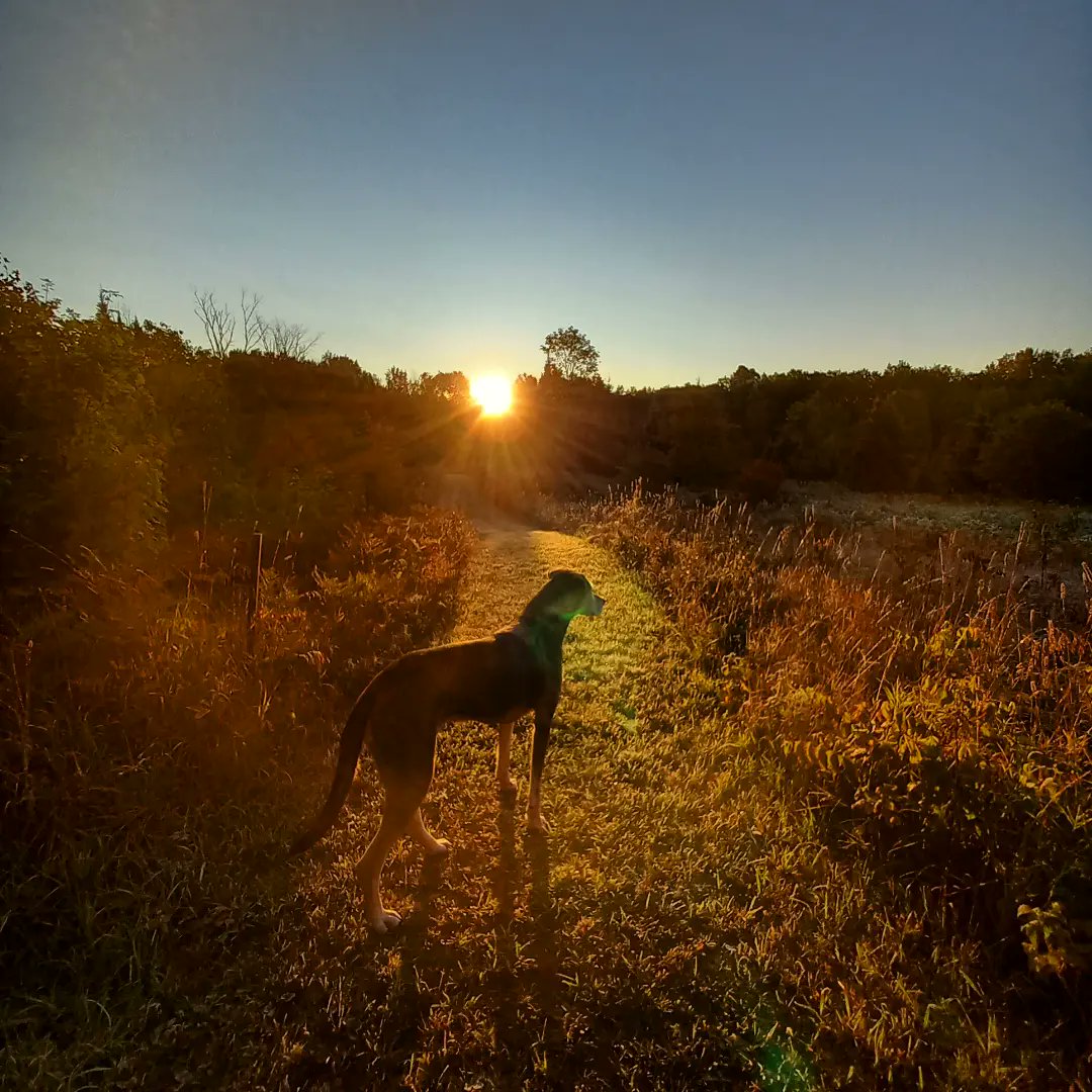 The morning trail inspection crew on duty at Missing Link Adventure Tours.