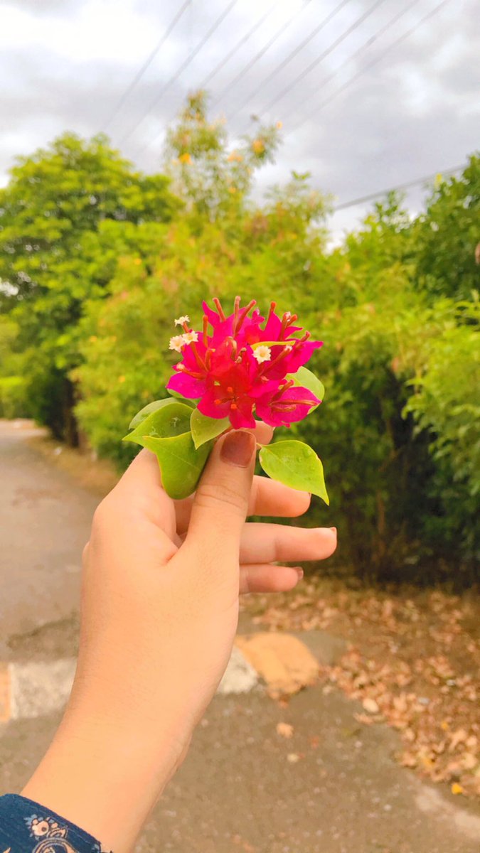 Tee_NajMa's tweet photo. Your metal health matters more than anything 🌷                                 #thursdayvibes                      #thoughtoftheday https://t.co/1HC0435TGI