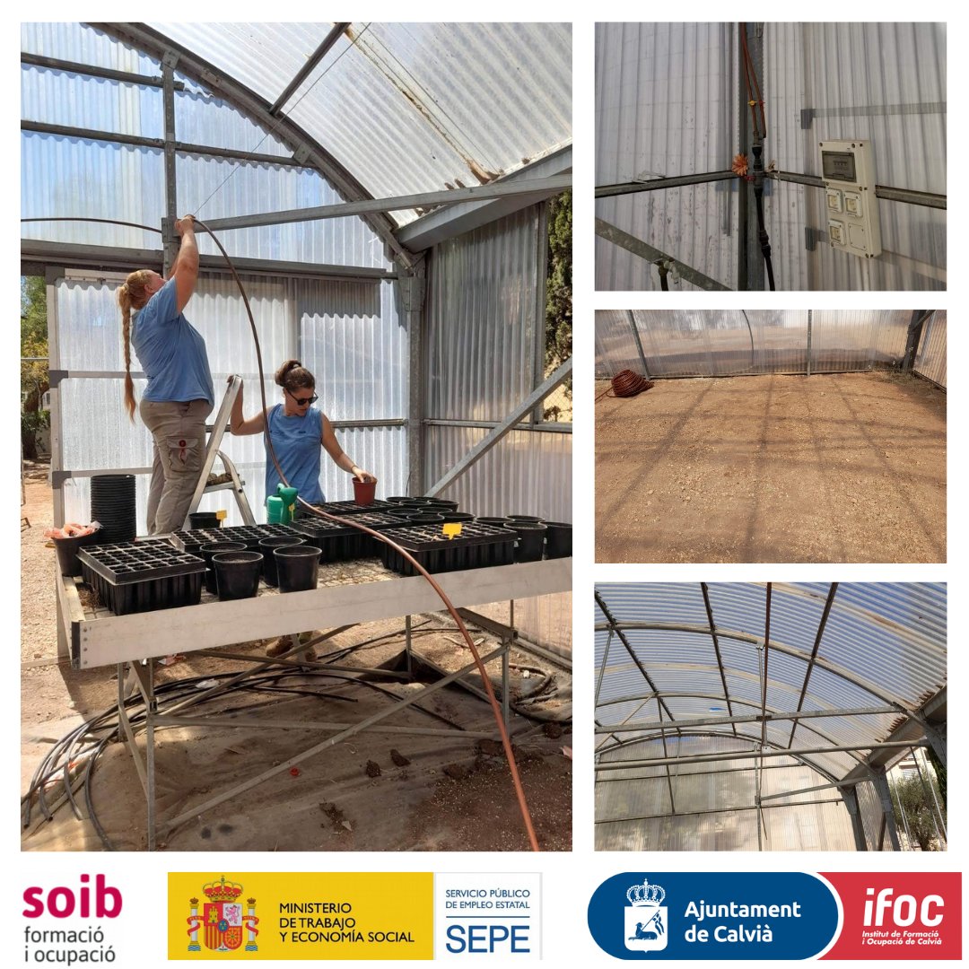 ifocalvia's tweet photo. Condicionant  l’hivernacle. L’objectiu: que tot estigui enllestit pel cultiu de tardor. Aquesta feina està  relacionada amb el Certificat de Professionalitat d’agricultura, 1 dels 2 que fan al projecte. ES FIGUERAL s’emmarca dins #SOIB30 
#SOIB30ProgramesMixts #SOIB30 https://t.co/eGV4kAheWc