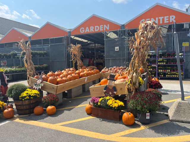 Amanda Fore tweet media