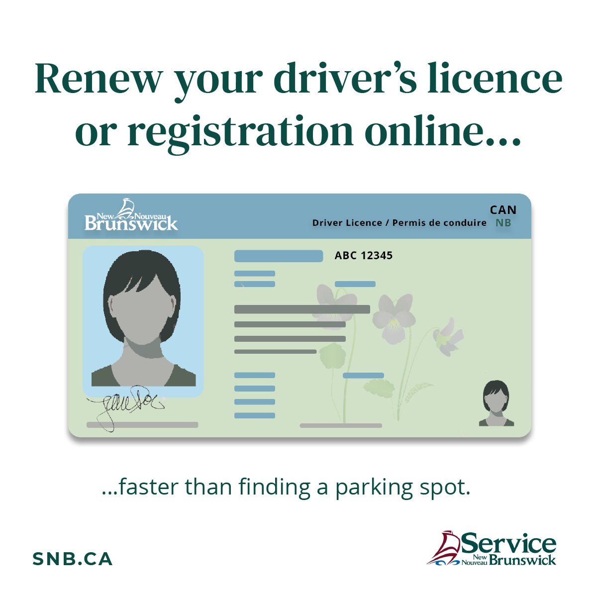 Government of NB on Twitter "Need to renew your driver’s licence or