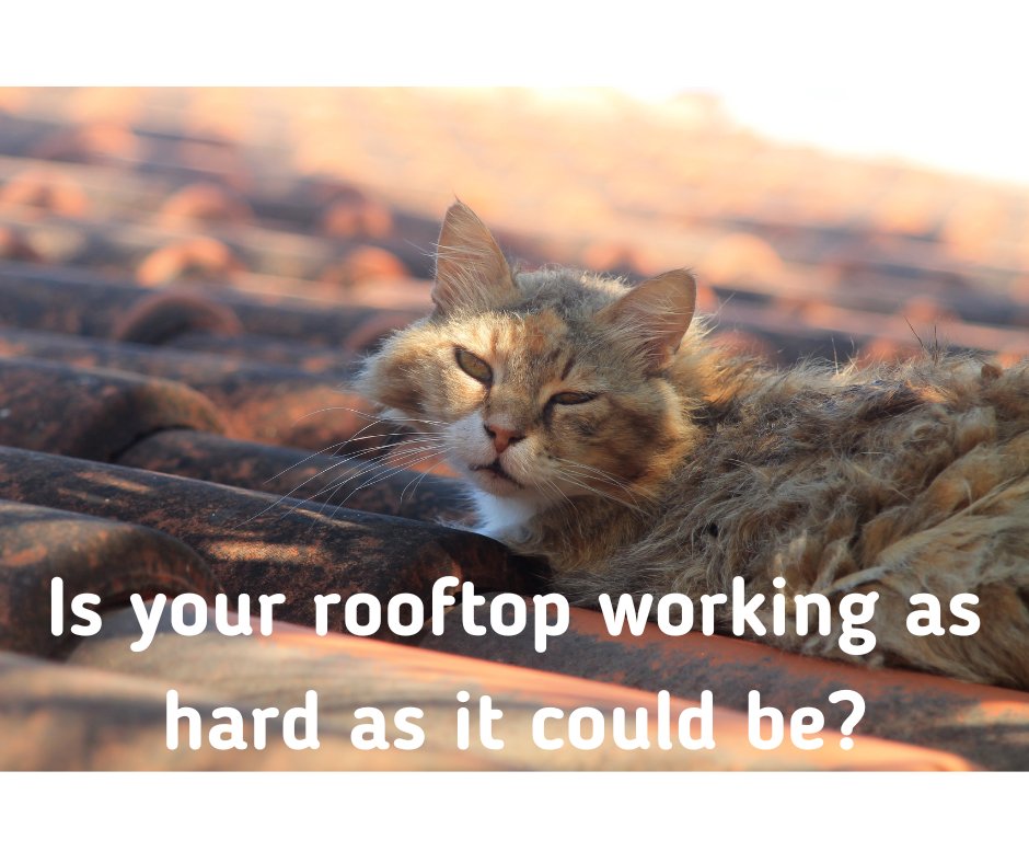 MariaArdley's tweet photo. If your rooftop is +300m2 &amp; you're spending £20k a year on your electricity bills, you may like to come to this Big Solar Co-op presentation &amp; see how we could save you money on your energy bills. Online, 28/9 @ 19.30
https://t.co/DRLdnLuz82
@StroudDC @GFirstLEP @TownStroud https://t.co/QCle8eyBWp