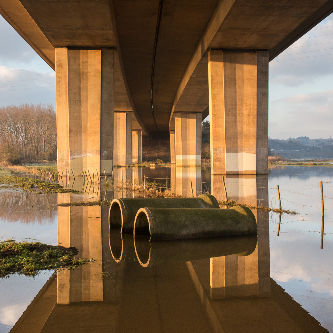 Quintin Lake tweet media