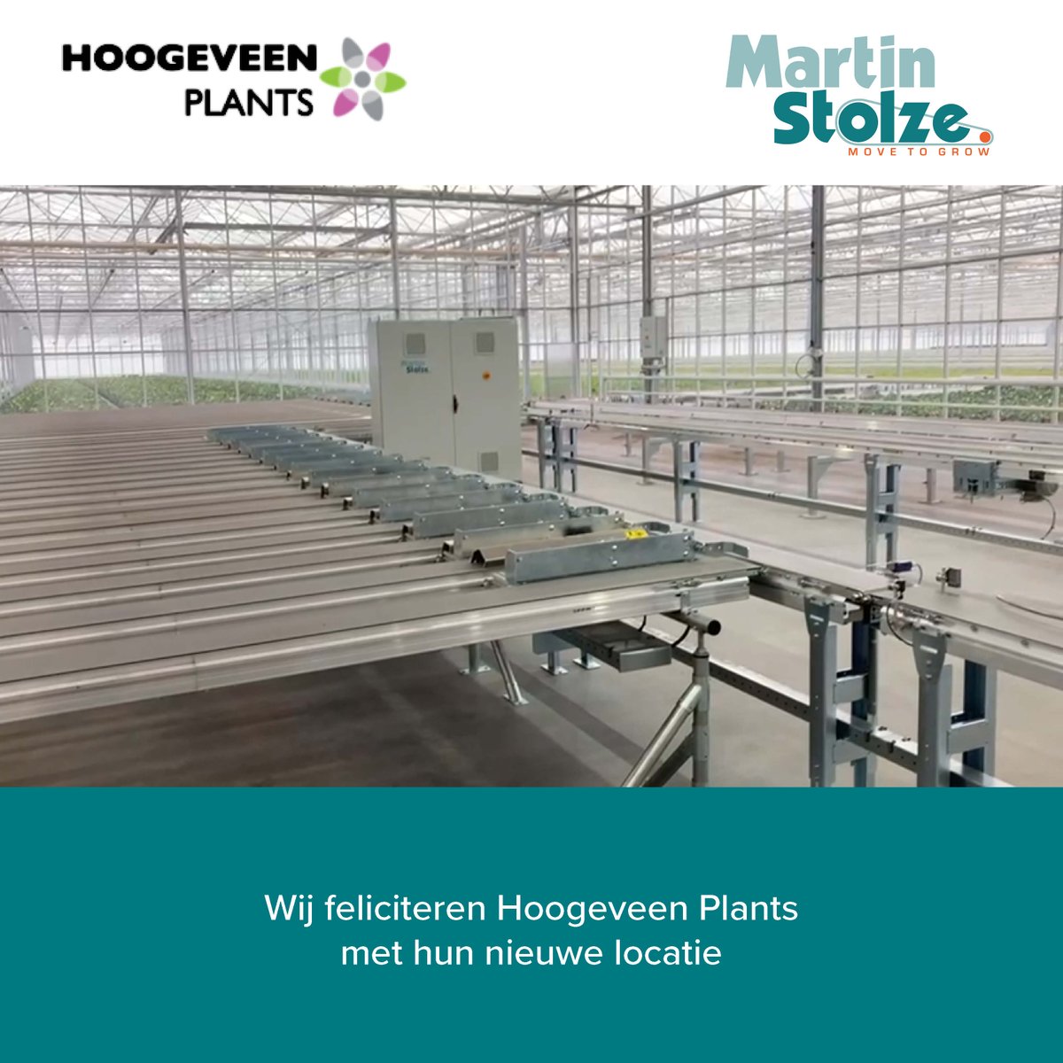 MartinStolzeBV's tweet photo. Wij feliciteren Hoogeveen Plants met hun nieuwe locatie. https://t.co/fkdaAe8eHa