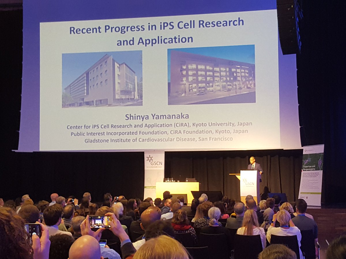 Stem Cells NRW (@stemcellsnrw) on Twitter photo Nobel laureate Shinya Yamanaka giving a lecture at the 10th <a href="/gscn_office/">GSCN</a> and 20 Years <a href="/StemCellsNRW/">Stem Cells NRW</a> meeting. What an honour that he came all the way from Japan! <a href="/MKW_NRW/">mkw.nrw</a> <a href="/MPI_Muenster/">MPI Molecular Biomedicine</a> #GSCN2022 Nobel laureate Shinya Yamanaka giving a lecture at the 10th <a href="/gscn_office/">GSCN</a> and 20 Years <a href="/StemCellsNRW/">Stem Cells NRW</a> meeting. What an honour that he came all the way from Japan! <a href="/MKW_NRW/">mkw.nrw</a> <a href="/MPI_Muenster/">MPI Molecular Biomedicine</a> #GSCN2022