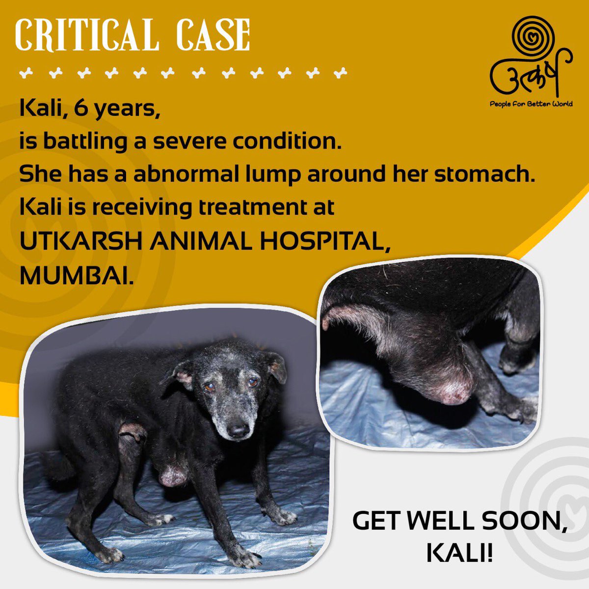 Utkarsh-Animal Welfare (@AnimalUtkarsh) / Twitter Utkarsh-Animal Welfare (@AnimalUtkarsh) / Twitter
