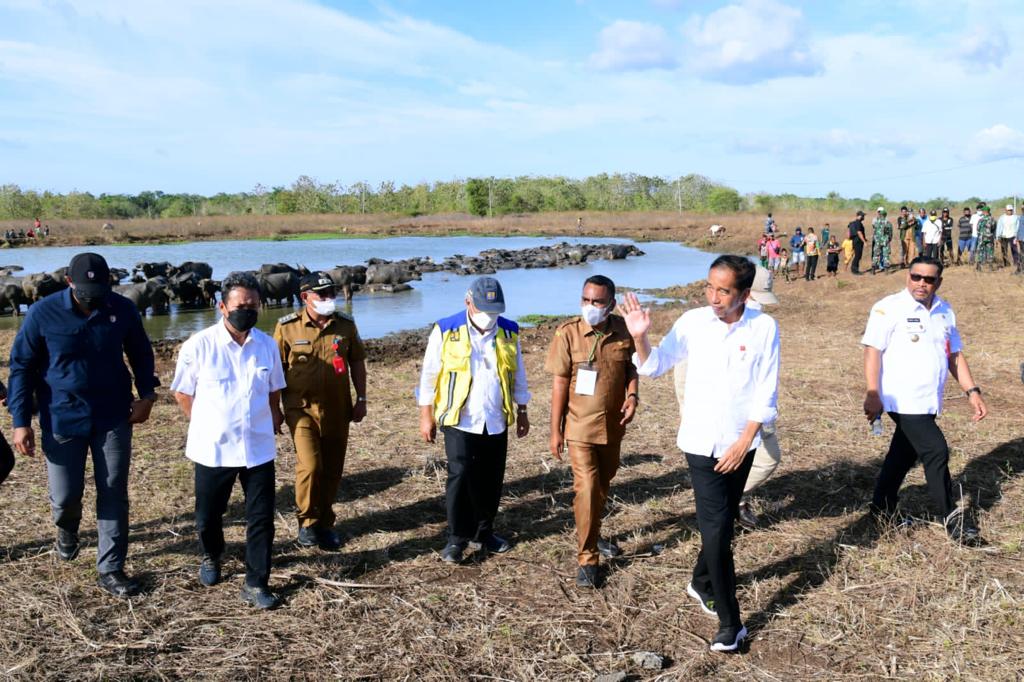 Bertemu para peternak kerbau Desa Werwaru di Pulau Moa, Kab. Maluku Barat Daya, siang tadi. Mereka mengeluhkan ketersediaan air di Pulau Moa yang membuat jumlah kerbau jadi jauh berkurang.

Saat itu juga, saya memerintahkan Menteri PUPR untuk membangun satu embung di setiap desa.