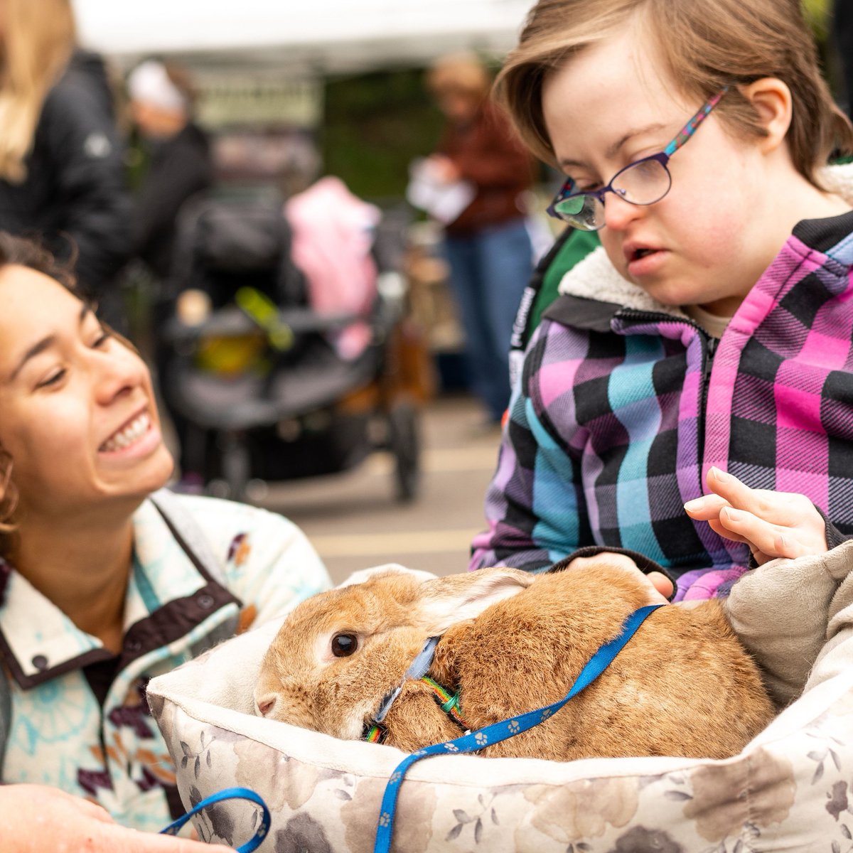 St. David's Center for Child & Family Development tweet media
