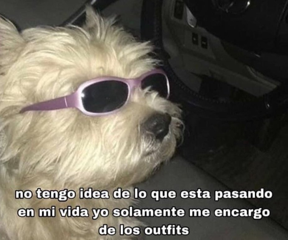 Rolita (@_onerolita) on Twitter photo 