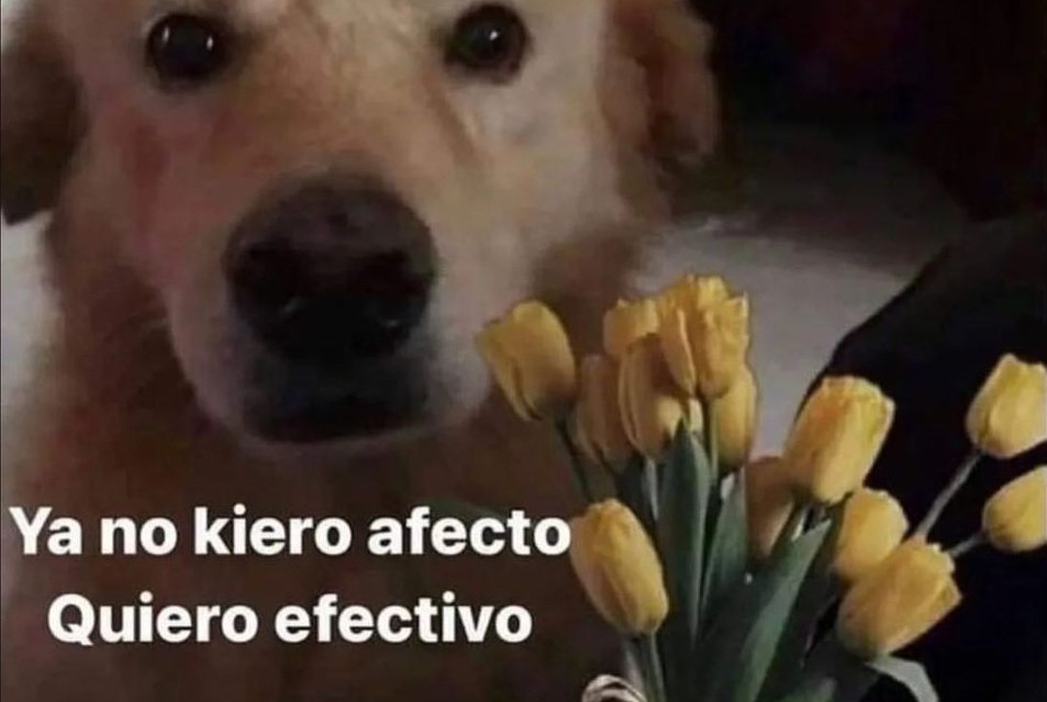 Rolita (@_onerolita) on Twitter photo 