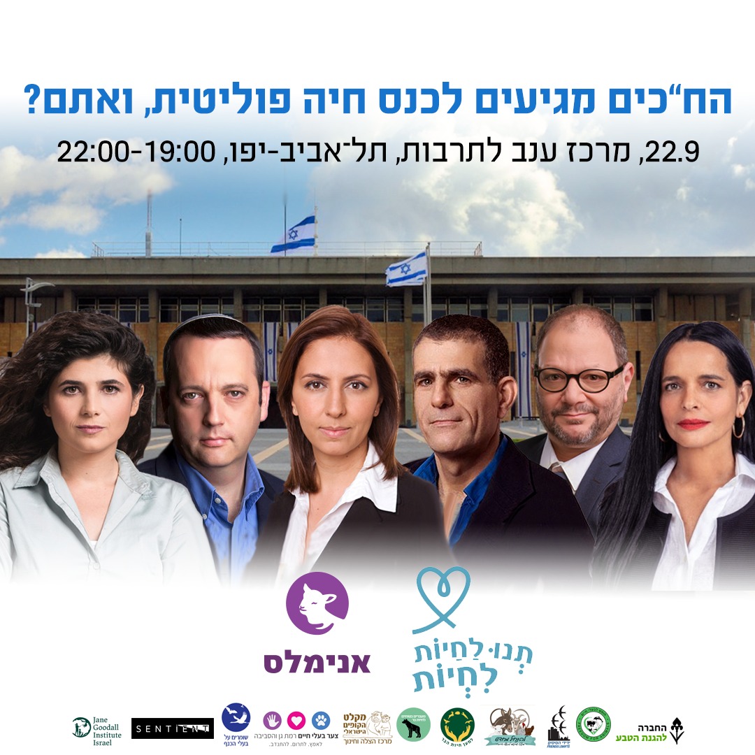 Animals_Now's tweet photo. ח"כ יסמין סאקס פרידמן, ח"כ גילה גמליאל, ח"כ שרן השכל , ח"כ גלעד קריב, ח"כ מוסי רז וח"כ עופר כסיף - כולם כבר אישרו השתתפות בכנס #חיה_פוליטית, מה איתך? https://t.co/87P7OLover

@Yasminsfridman, @GilaGamliel, @SharrenHaskel, @KarivGilad, @mossi_raz, @ofercass https://t.co/2ZoMk2bf8E