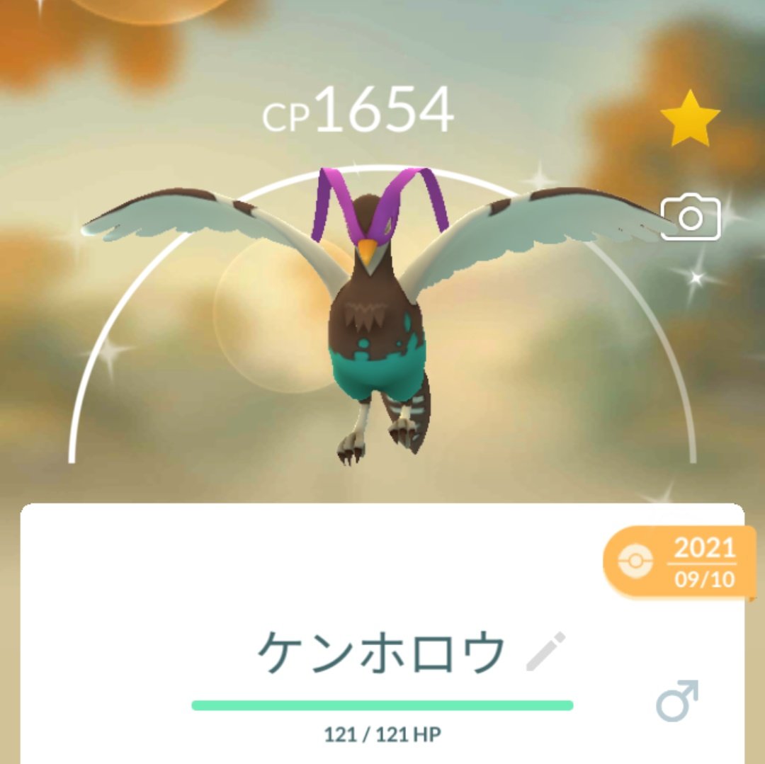 تويتر ケンホロウ البحث في تويتر