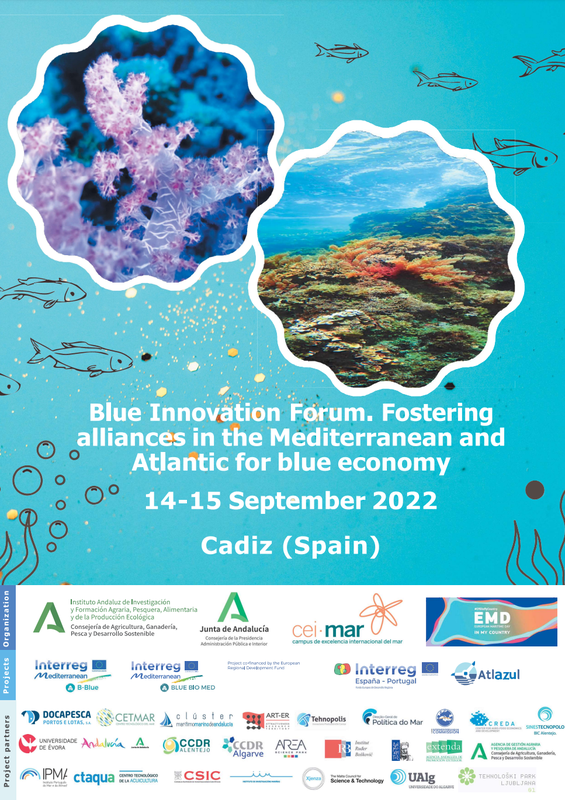 CCDR_Algarve's tweet photo. #ECONOMIAAZUL | O Presidente da #CCDRAlgarve, @_JoseApolinario, participou na abertura do BLUE INNOVATION FORUM com parceiros de projetos apoiados por #fundoseuropeus

+INFO: https://t.co/VXYYbCm9d0

#Algarve #AlgarveFazBem @govpt @economia_pt #Atlazul @EUROAAA @CEIMAR1 @UAlg https://t.co/SaVowTE1oV