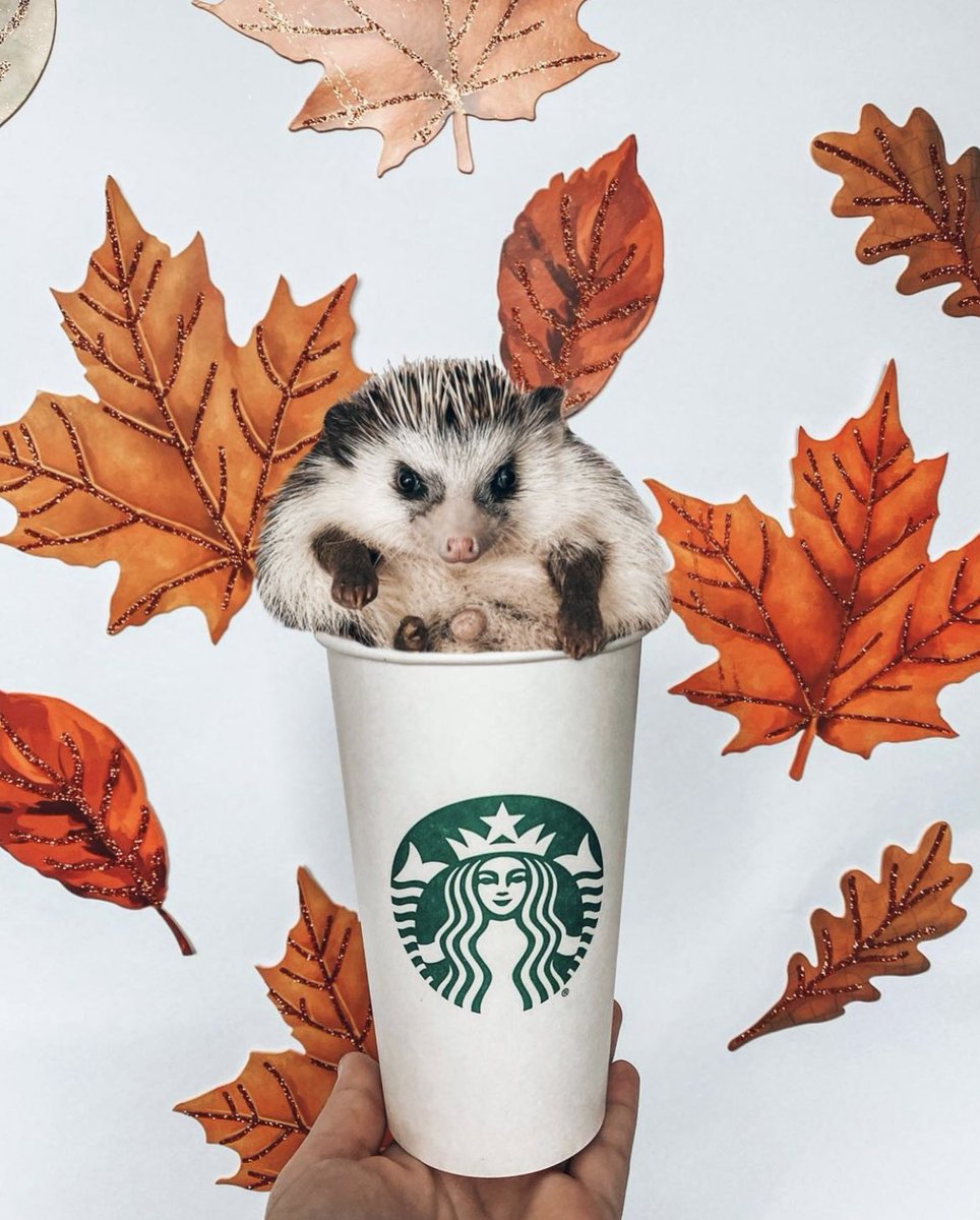 Thursday 15th September, 2022