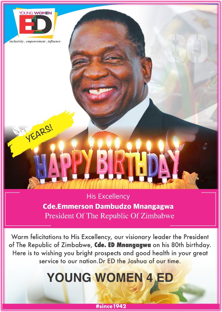 YW4ED Diaspora Chapter tweet media