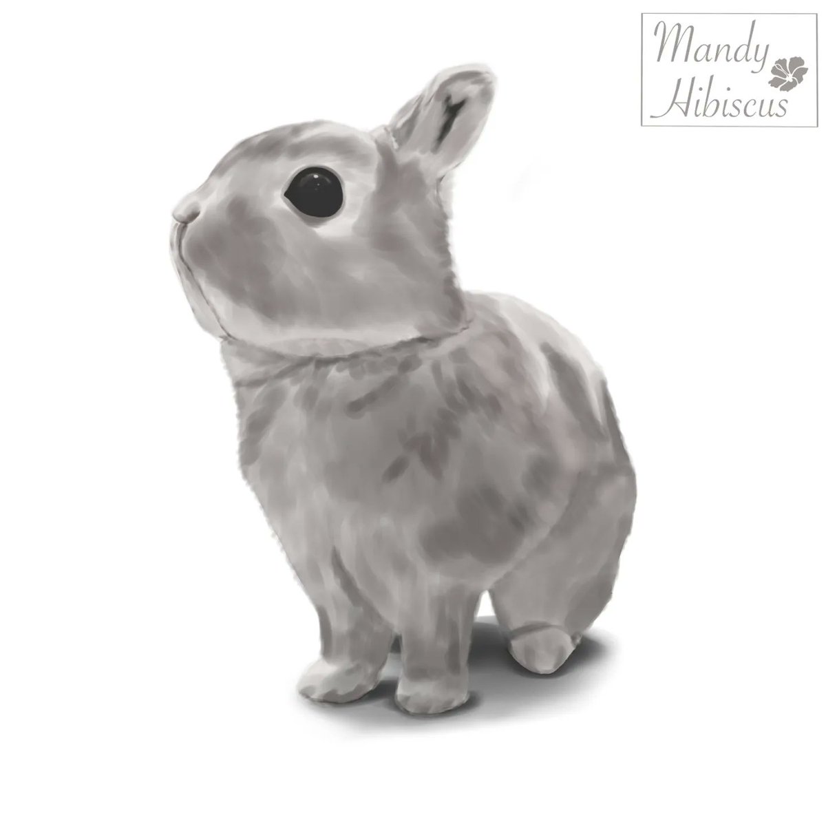 MandyHibiscus's tweet photo. @NightBawnana OMG I like your art so much!

Thanks for the artshare!

I'm Amanda and I like to paint semi realistic stuff 🎨

Check my instagram for more of my work:
https://t.co/5XHLfiOfYk https://t.co/hkezcVbnU0