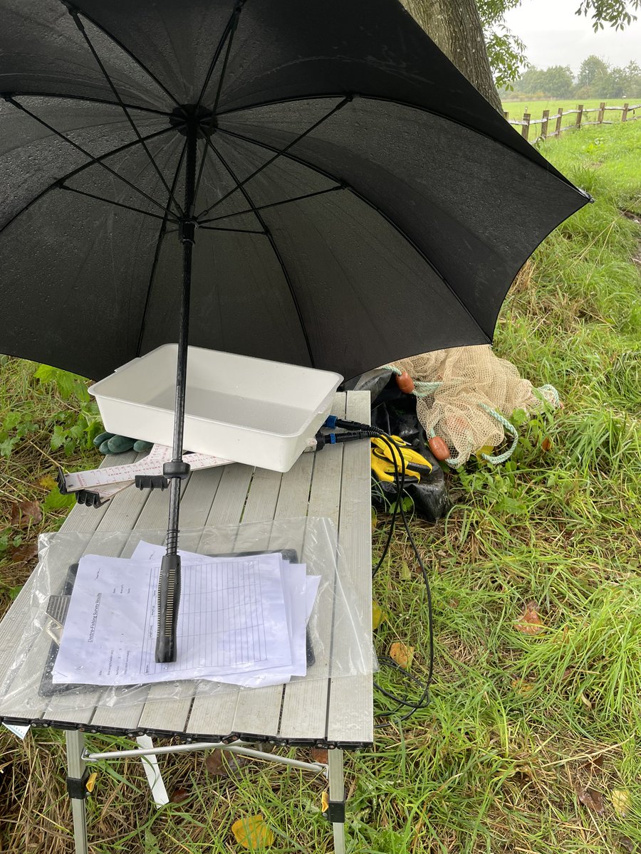 BrightonEcology's tweet photo. A fantastic start of the new academic year with our @BrightonEcology students.A bit damp but lots of fun,#ecologicalskills and great #ecologicaldata @sheffieldparkNT @DPernetta https://t.co/h7QjMa7lFN