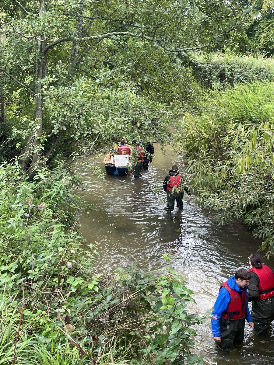 BrightonEcology's tweet photo. A fantastic start of the new academic year with our @BrightonEcology students.A bit damp but lots of fun,#ecologicalskills and great #ecologicaldata @sheffieldparkNT @DPernetta https://t.co/h7QjMa7lFN