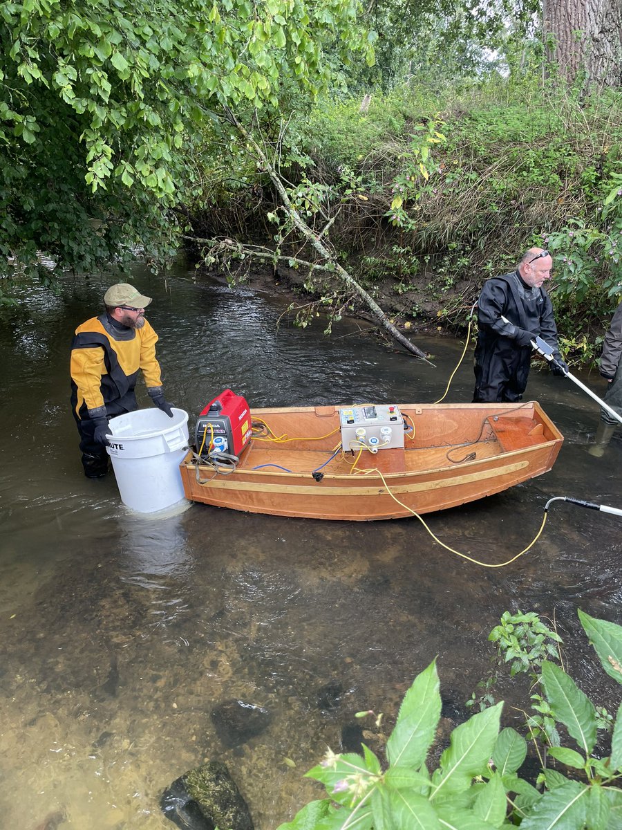 BrightonEcology's tweet photo. A fantastic start of the new academic year with our @BrightonEcology students.A bit damp but lots of fun,#ecologicalskills and great #ecologicaldata @sheffieldparkNT @DPernetta https://t.co/h7QjMa7lFN