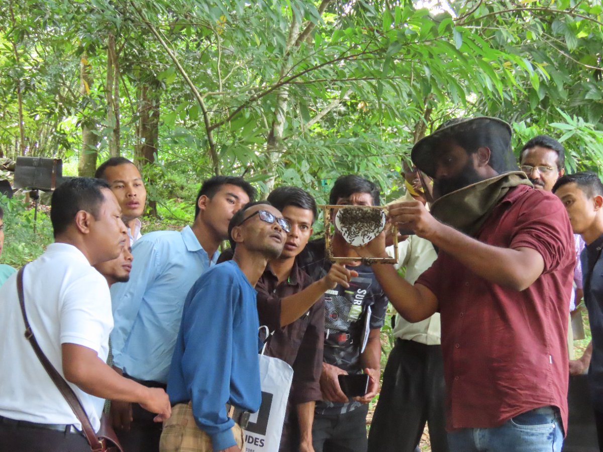 InstituteTies's tweet image. Apiculture training for visiting team from Meghalaya at NIRT

#beesforlife
#apiculturetraining
#trainingprogramme
#tiesinstitute