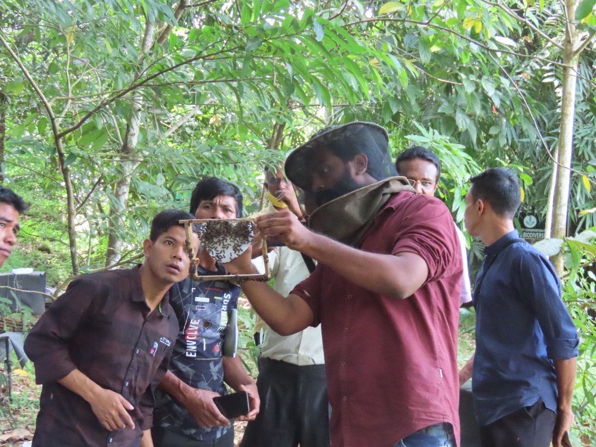 InstituteTies's tweet image. Apiculture training for visiting team from Meghalaya at NIRT

#beesforlife
#apiculturetraining
#trainingprogramme
#tiesinstitute