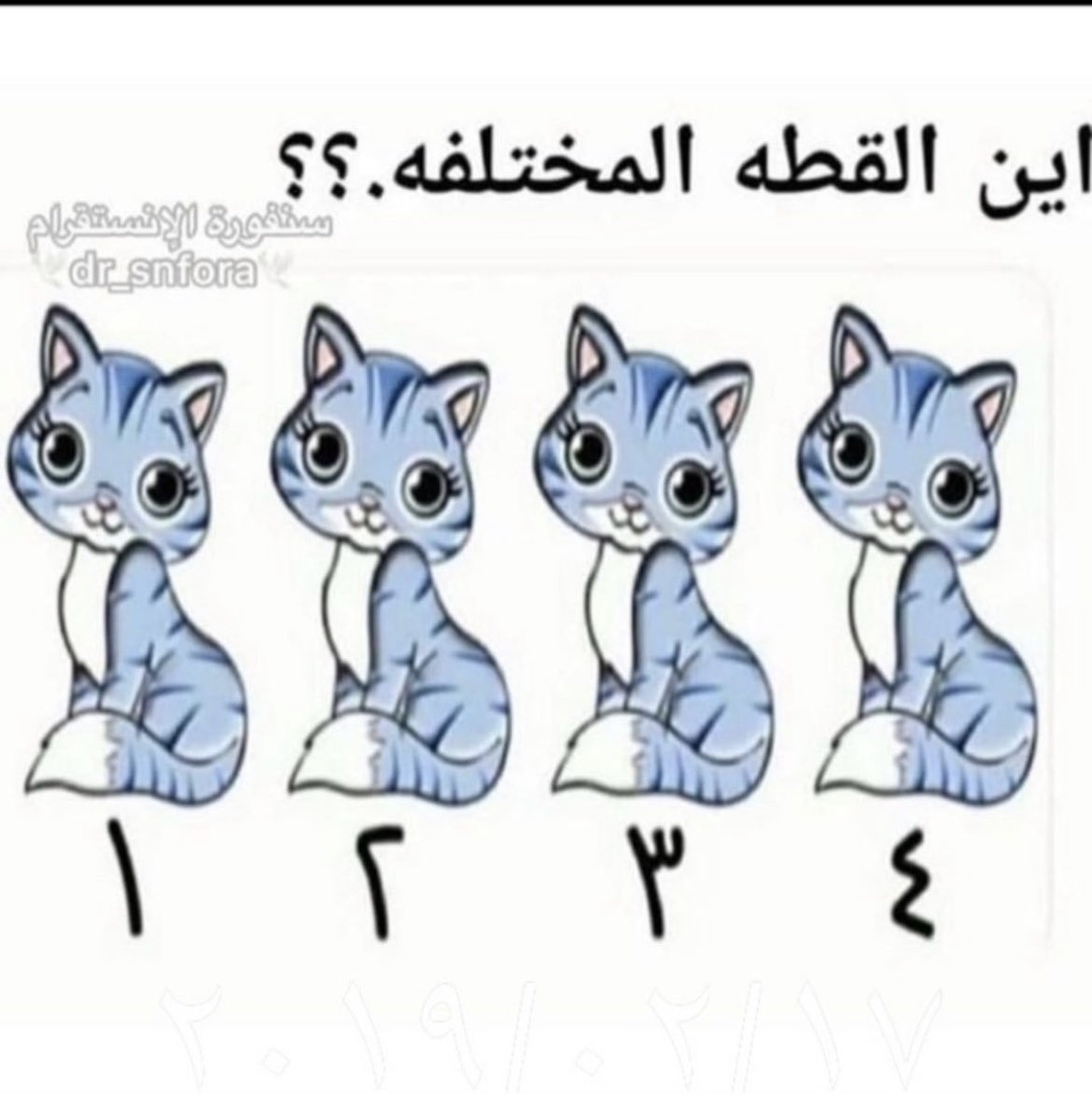 الخطين اللي فوق العين رقم ٤ غير موجود