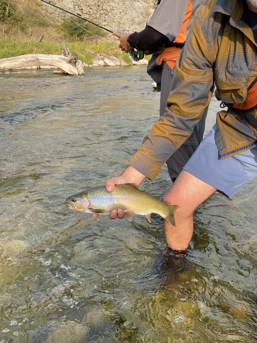 Robert Yates tweet media