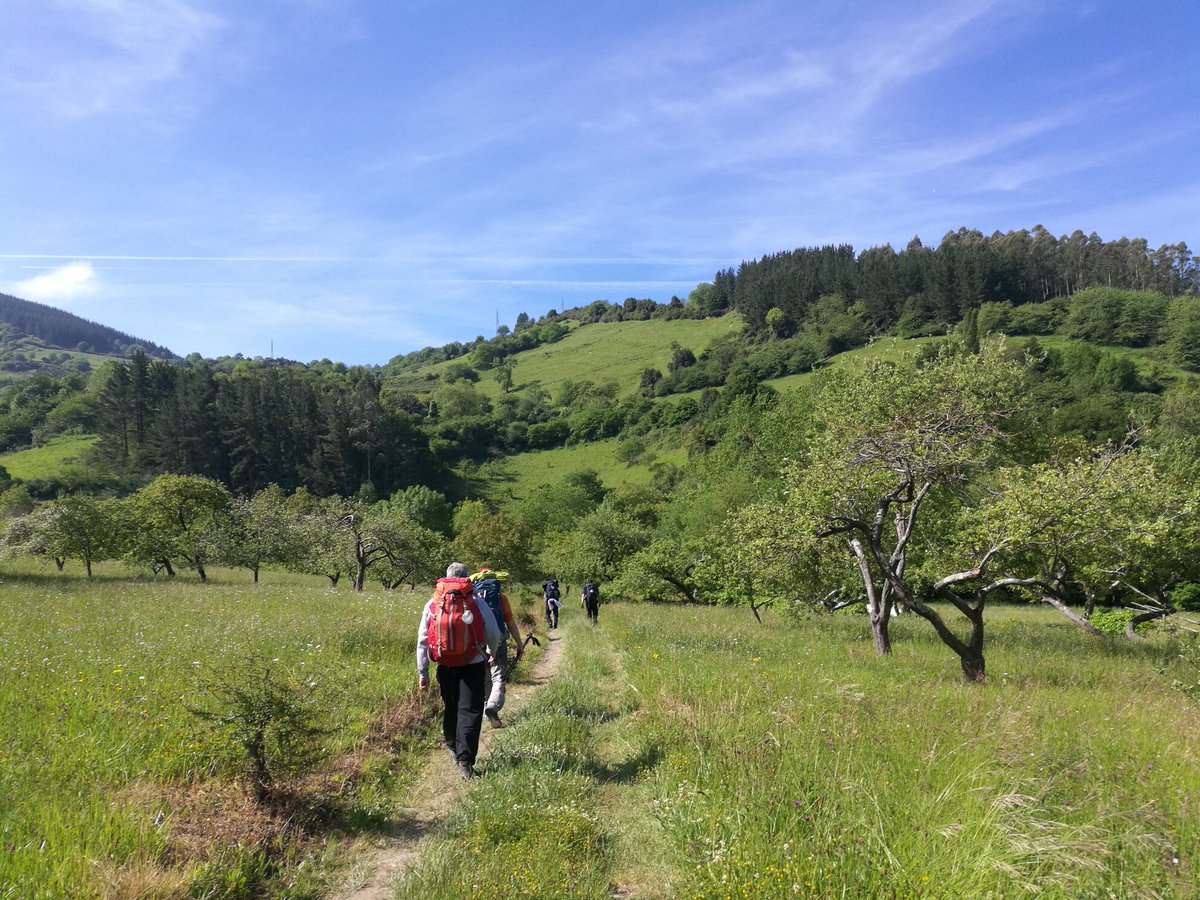 IsleSupport's tweet photo. In order not to lose motivation and self-confidence, we can change the old habit, by taking small steps. We won’t even notice how we start to change automatic modes, old habits. It helps a lot to admit it to yourself, to talk to other people whose experience is similar to ours. https://t.co/bXnc8CkY3m