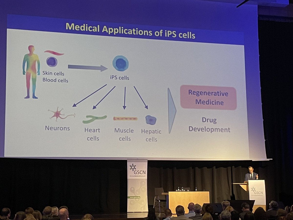 OlmerLab tweet media