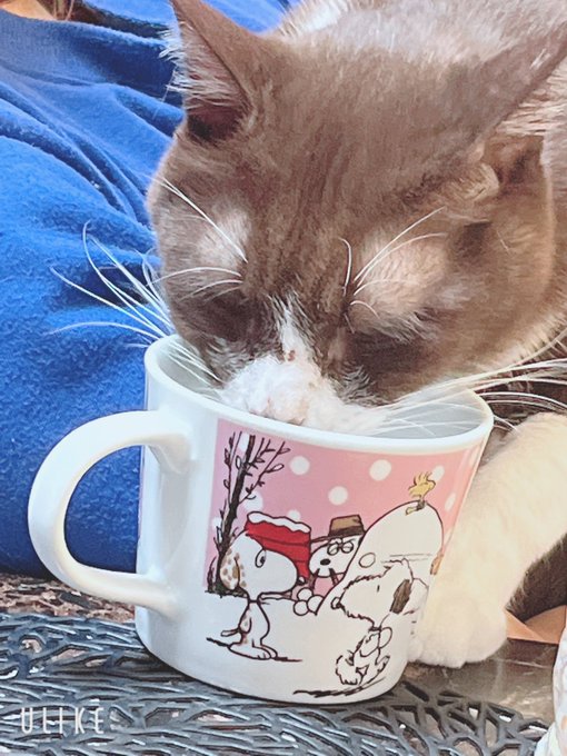 Twitterのコスプレ画像30