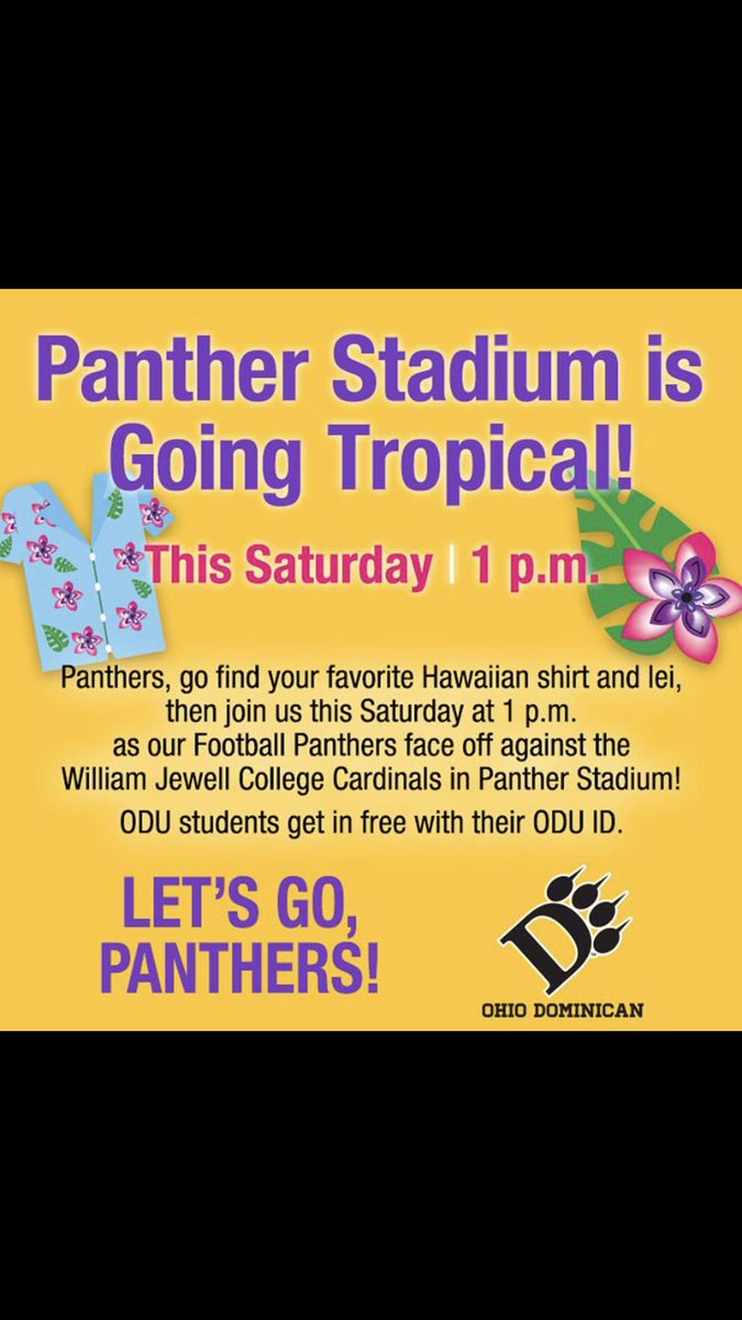 Ohio Dominican Cheer tweet media