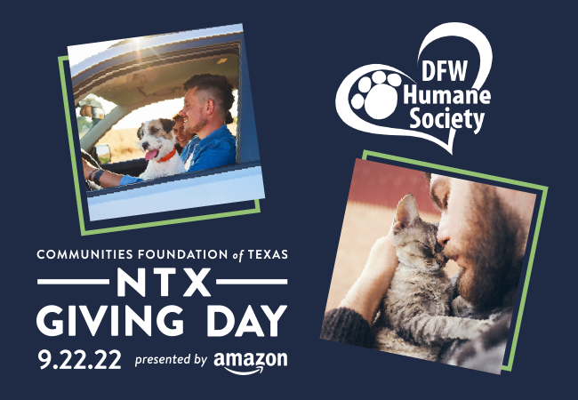 DFW Humane Society tweet media
