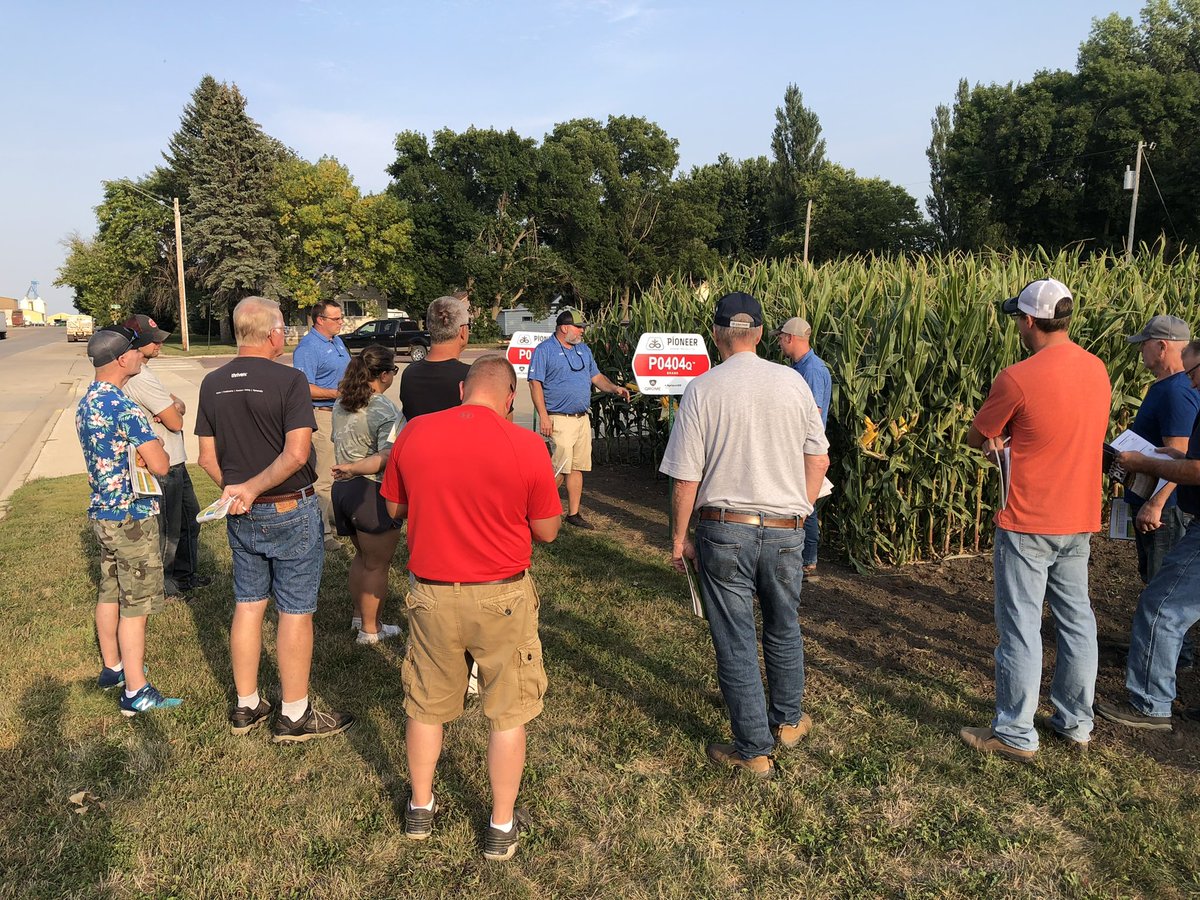 Perry Estebo tweet media