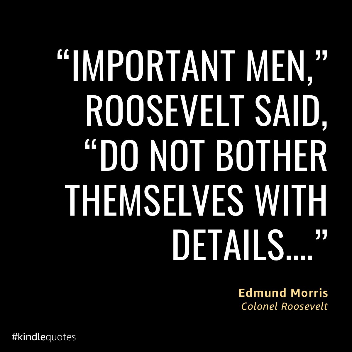 singletondavidf's tweet photo. “Important men,” Roosevelt said, “do not bother themselves with details.…”

#quotes #history #books https://t.co/JuSeP21OLD https://t.co/TDAICyj41h