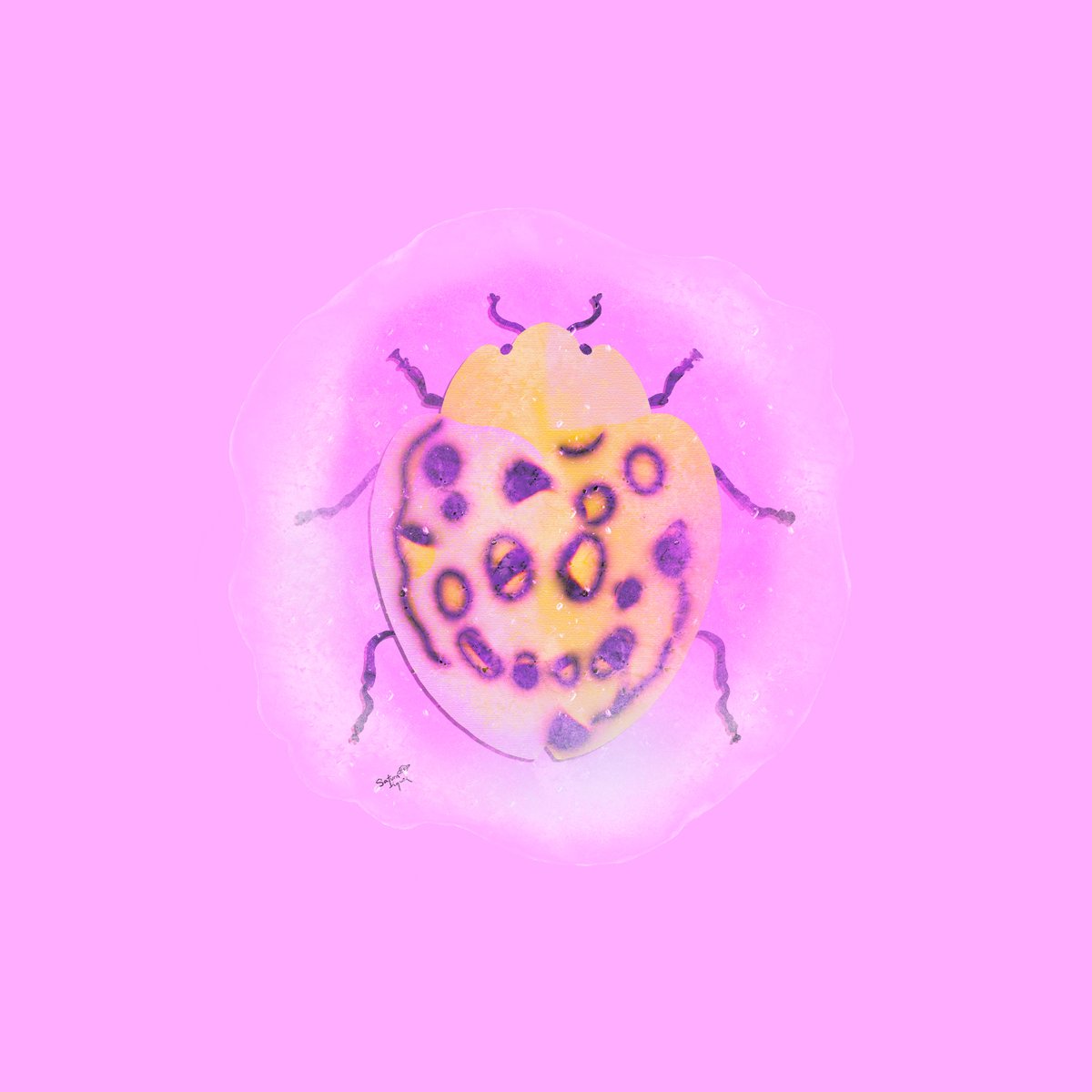 Saturn Liquor tweet media