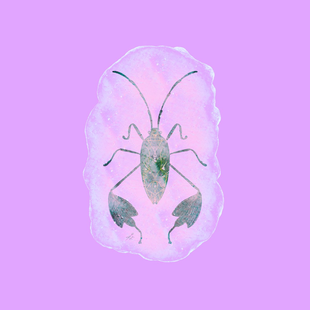 Saturn Liquor tweet media